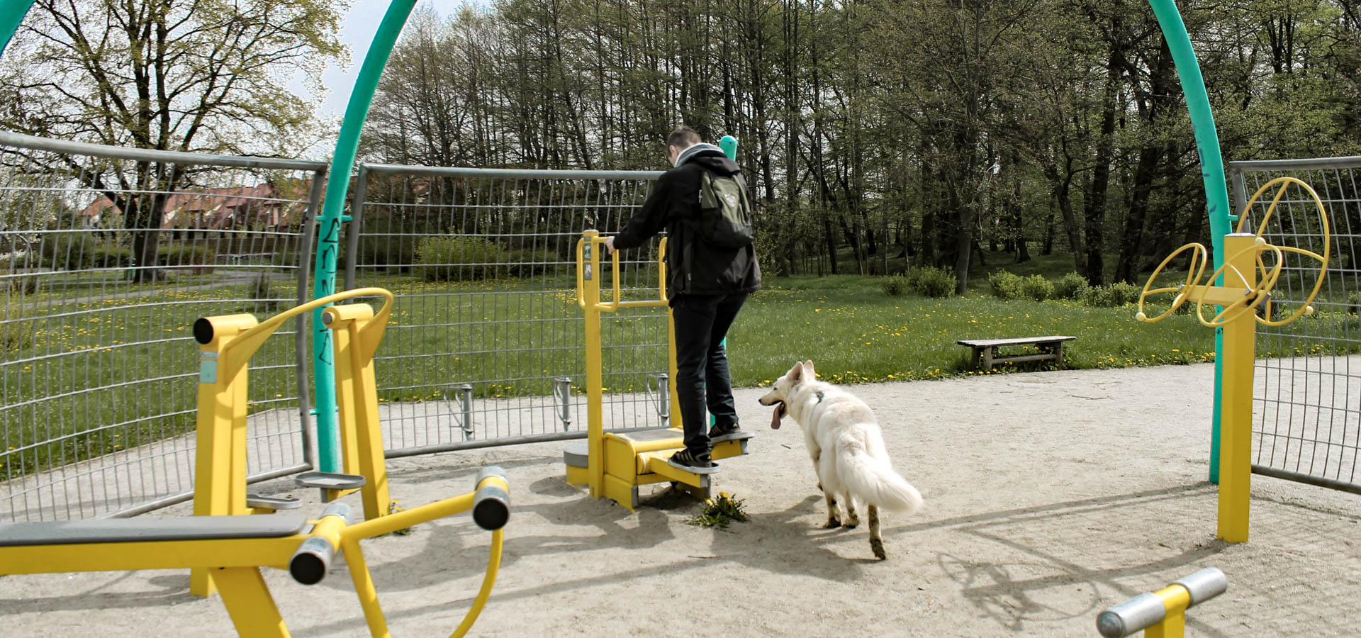 Park złotnicki we Wrocławiu - mini-siłownia