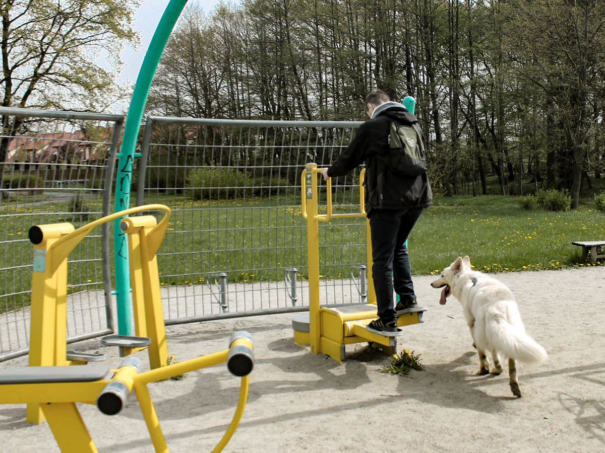Park złotnicki we Wrocławiu - mini-siłownia