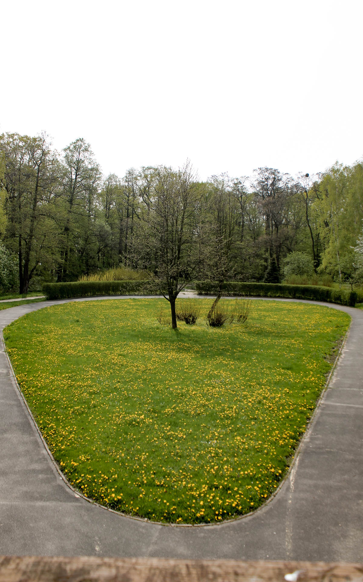 Rolkowisko w Parku Złotnickim