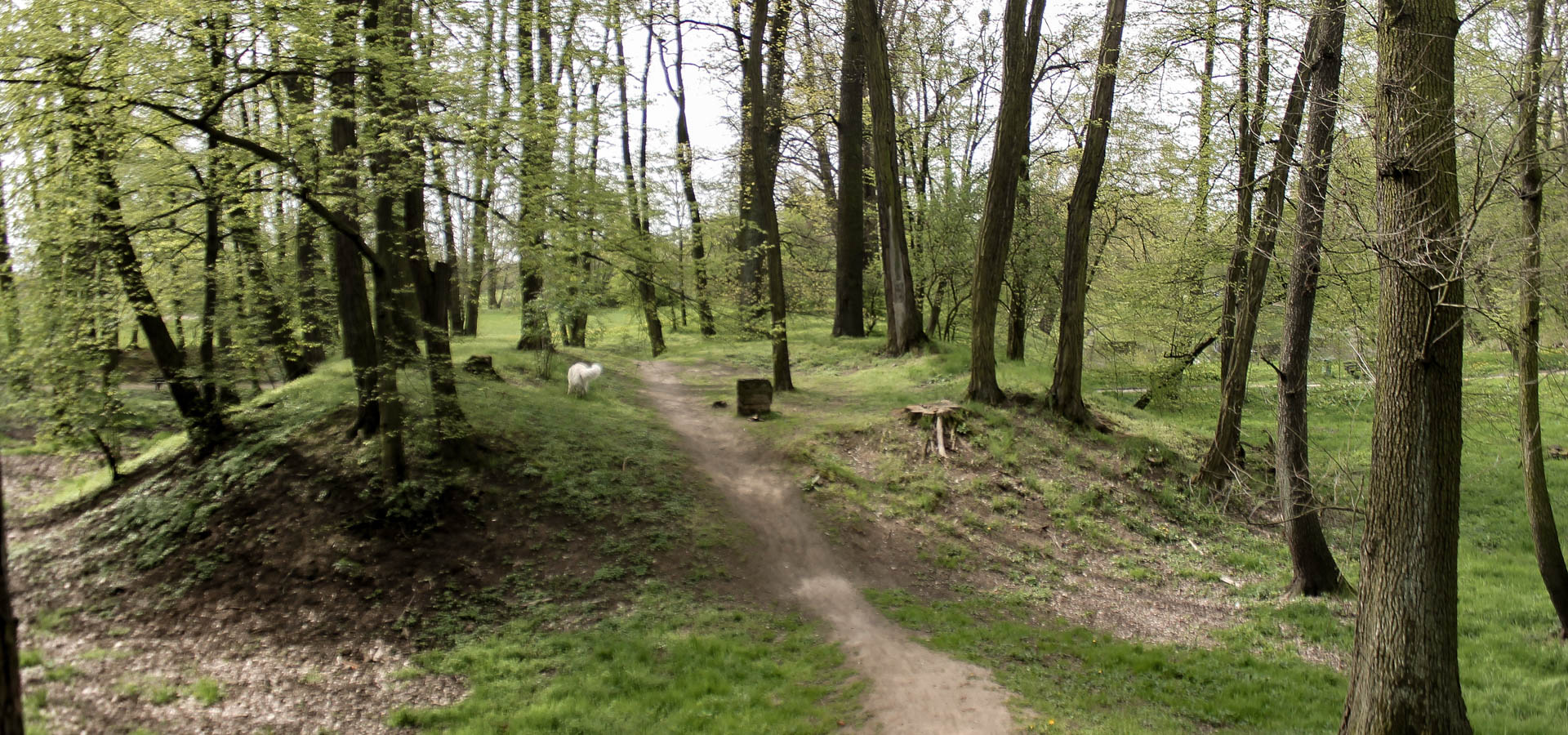Park Złotnicki - grodzisko
