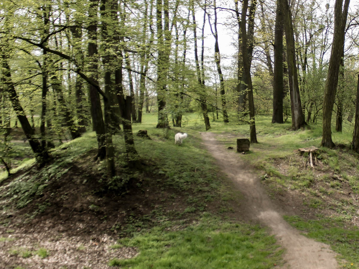 Park Złotnicki - grodzisko