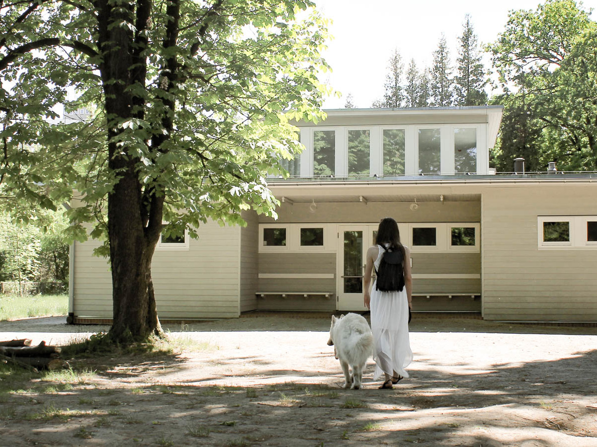 Wuwa z psem - Wrocław