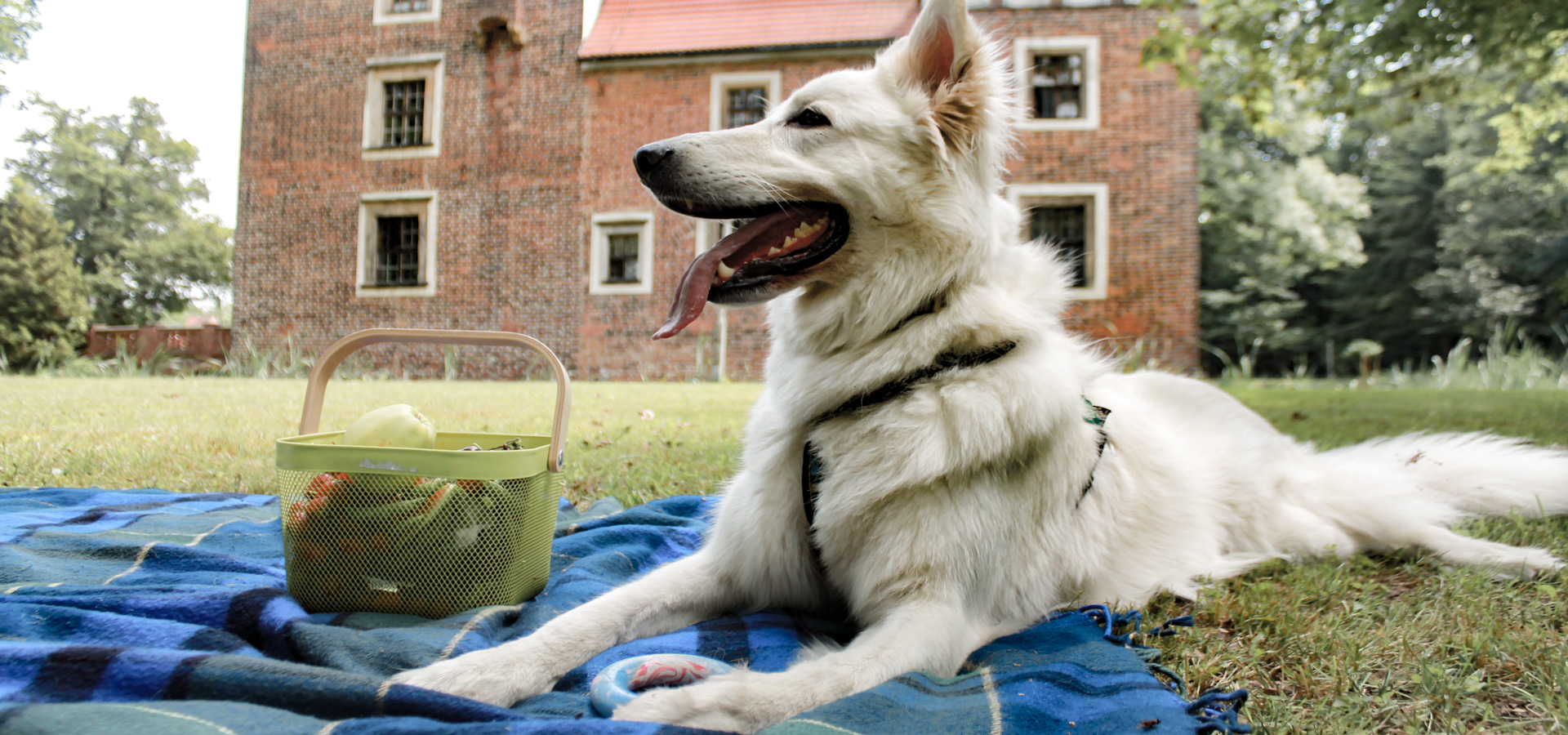 piknik - zamek na wodzie w Wojnowicach