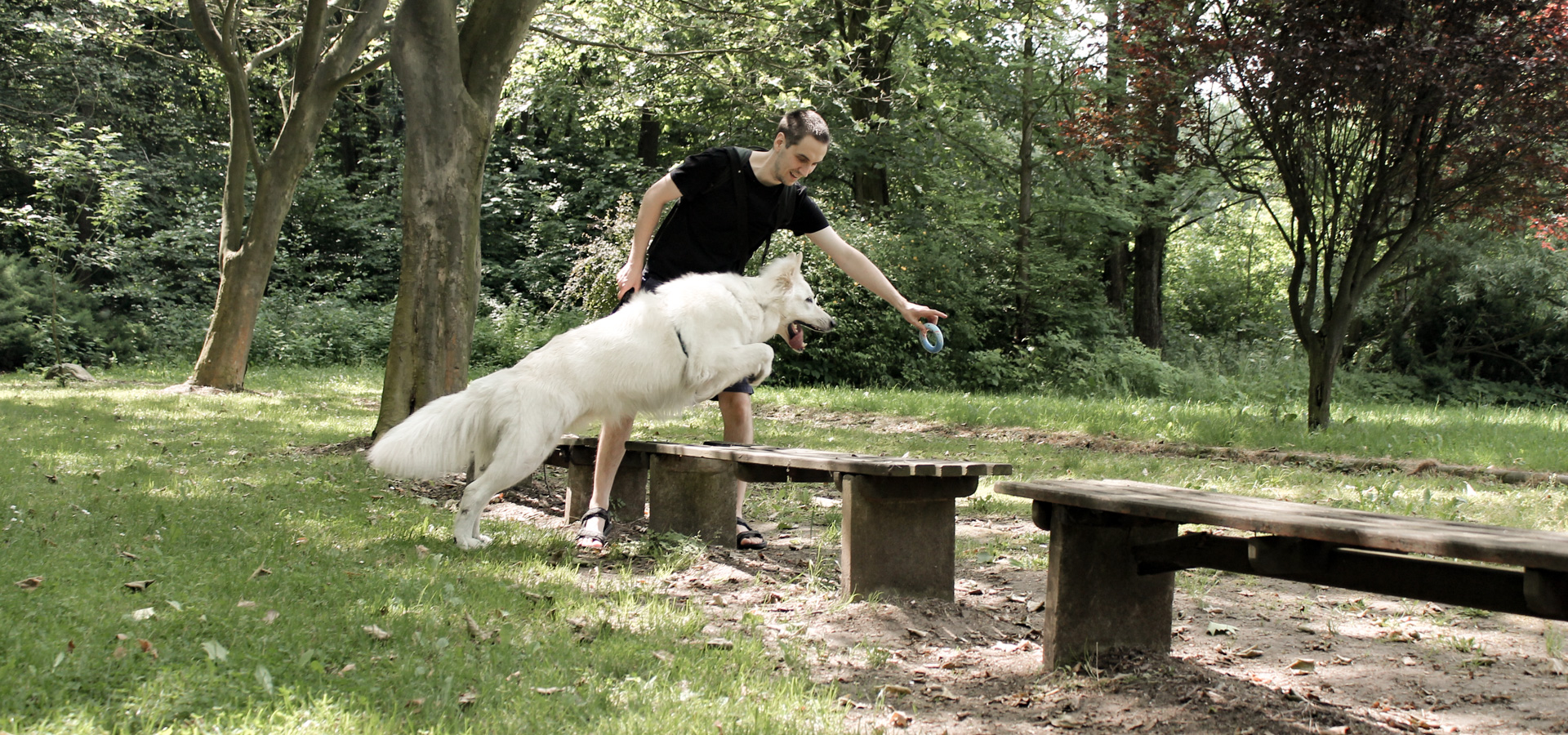 psie zabawy w Wojnowicach