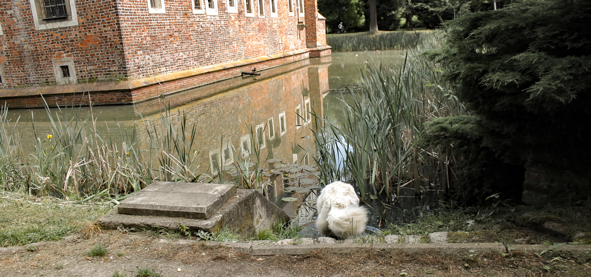 zamek na Wodzie - fosa