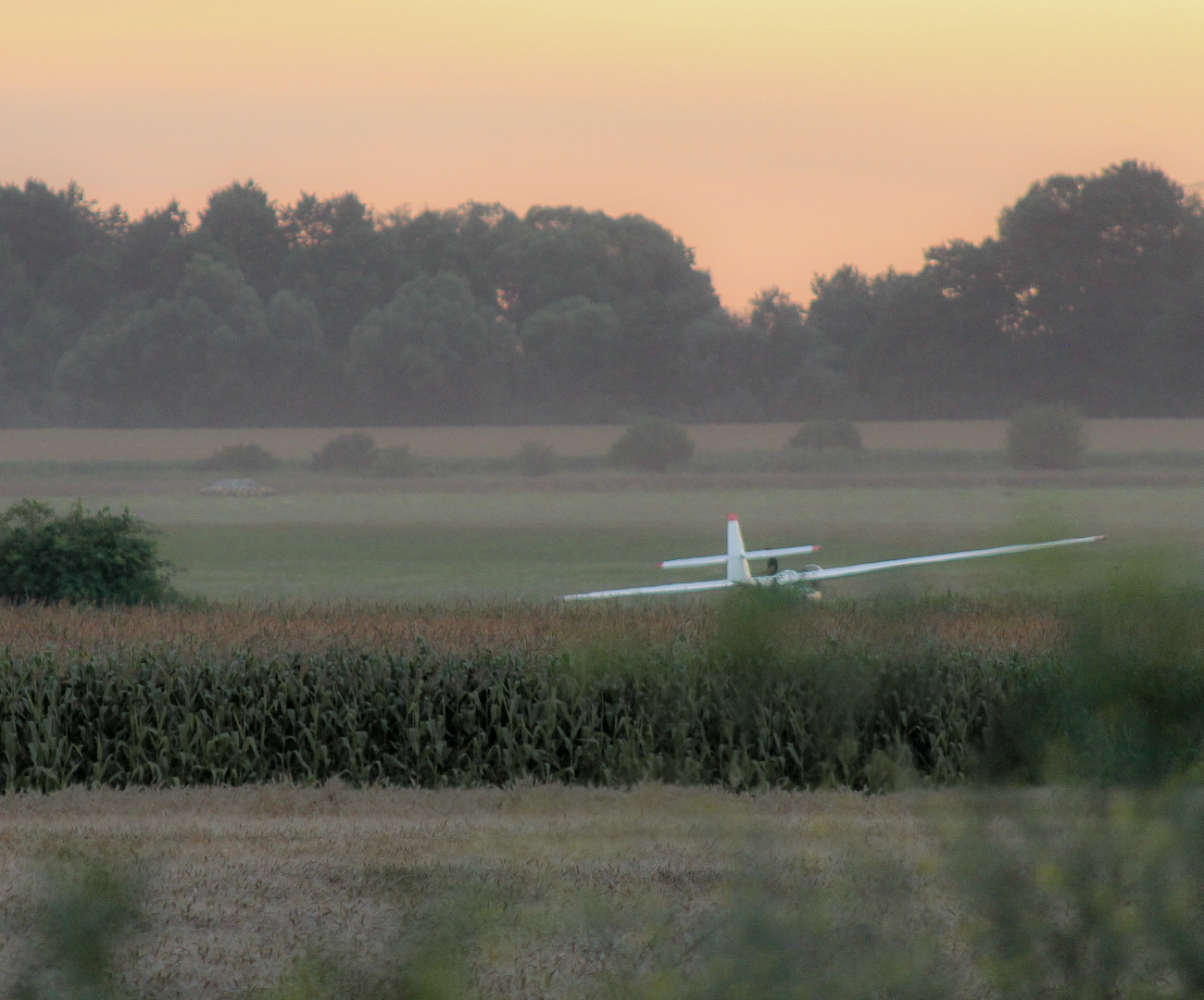 Szymanów - szybowce
i spadochroniarze wśród pól
