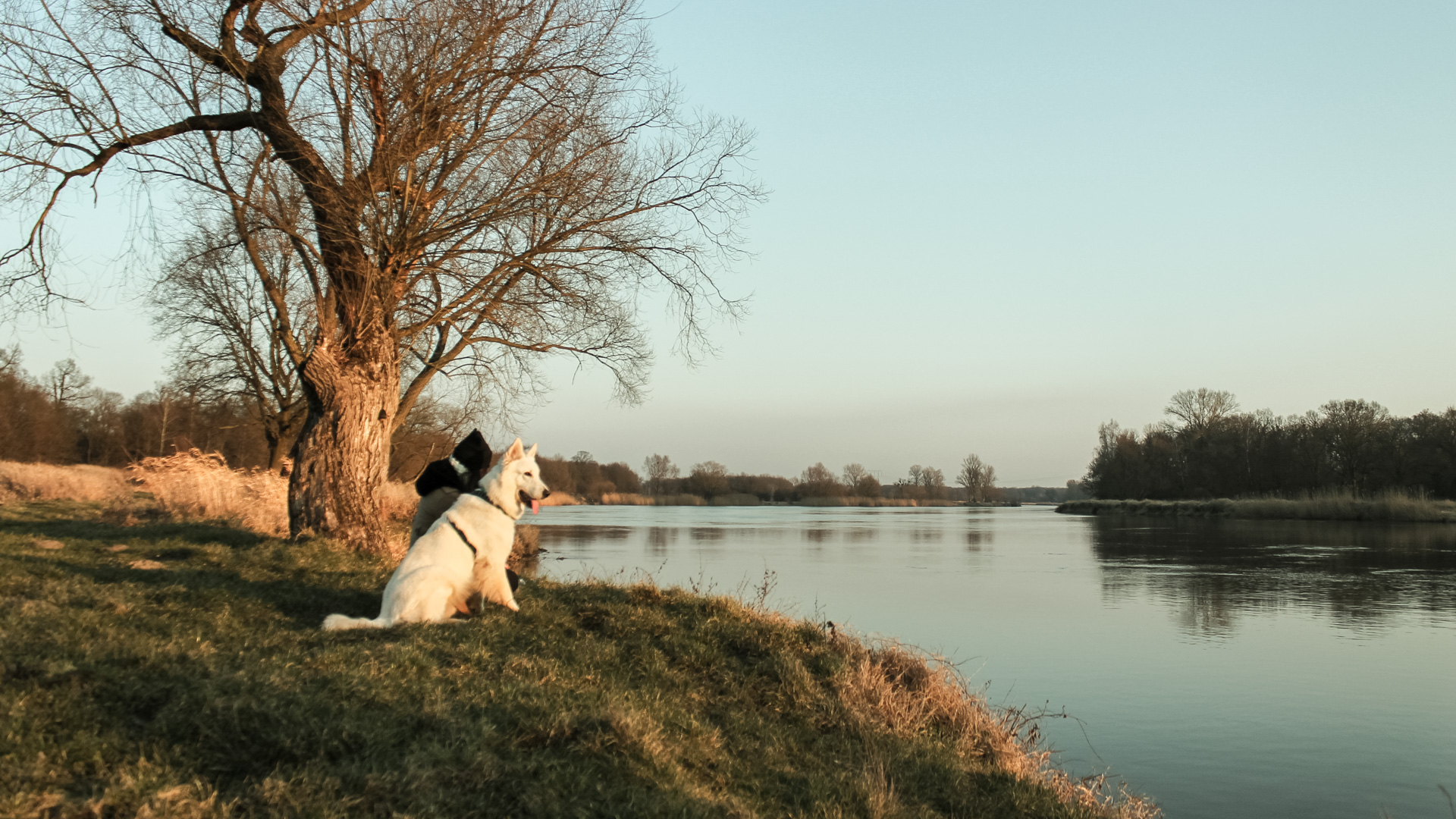 Uraz i spacer wzdłuż Odry
po zimowe słońce
