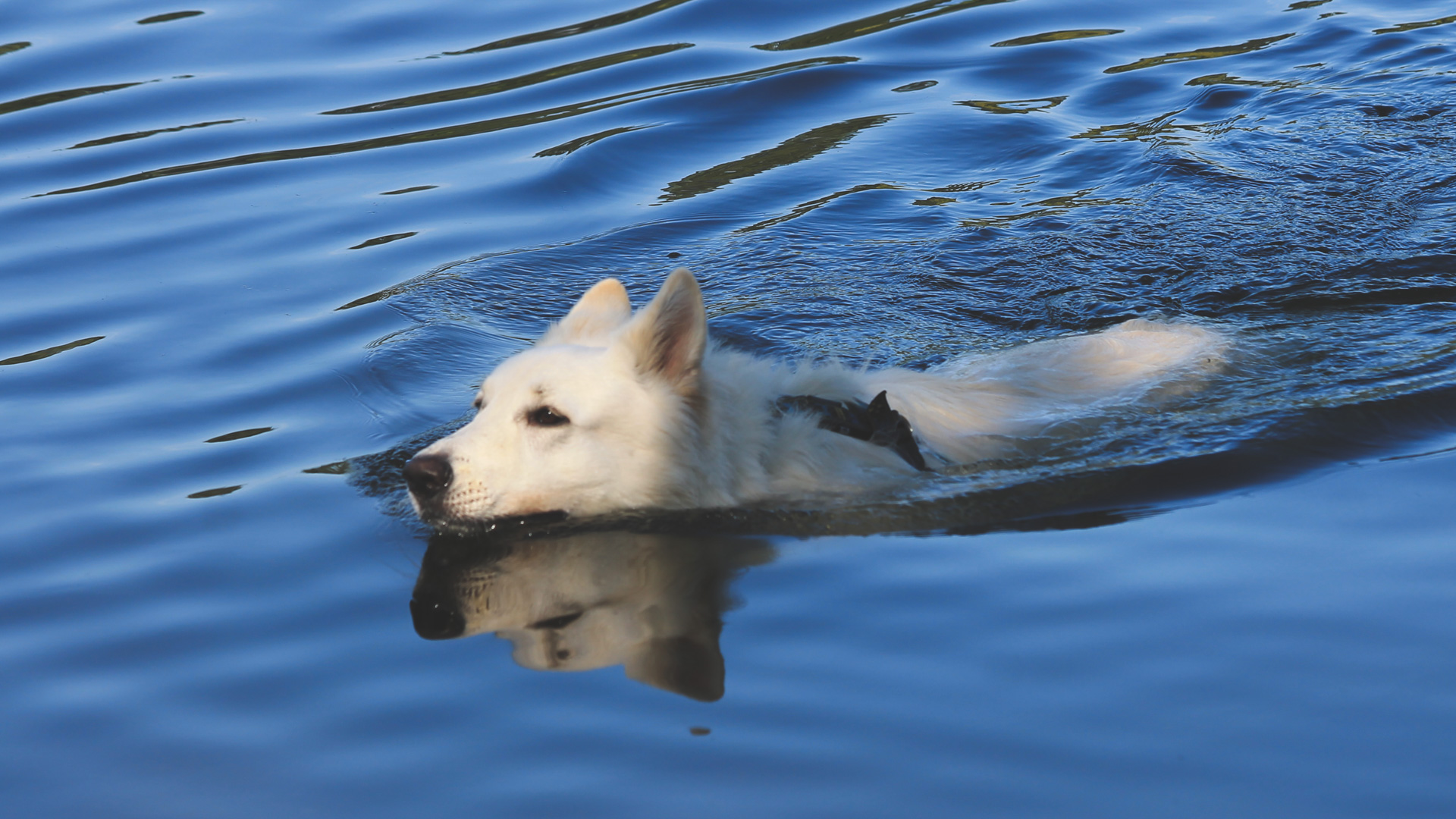 W poszukiwaniu jeziora Bajkał...