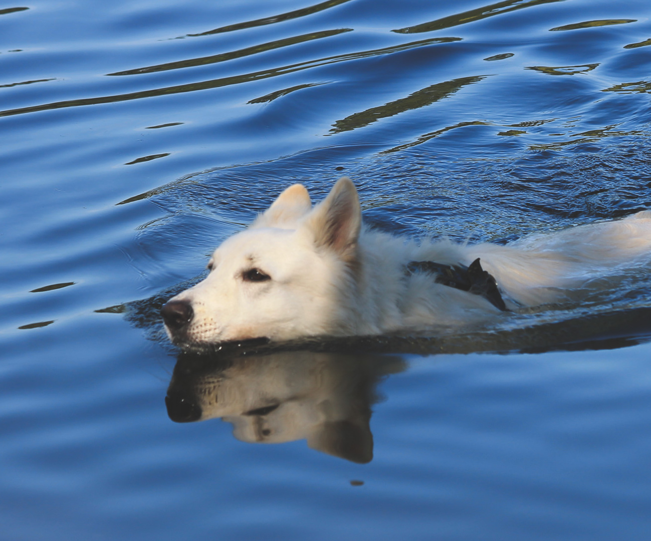 W poszukiwaniu jeziora Bajkał...