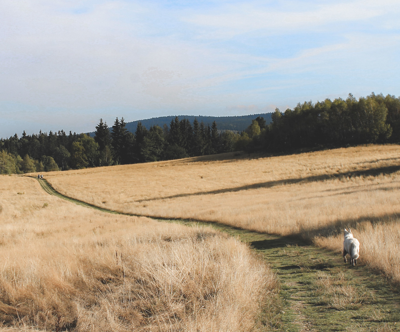 Borówkowa góra i zaginiona wieś
