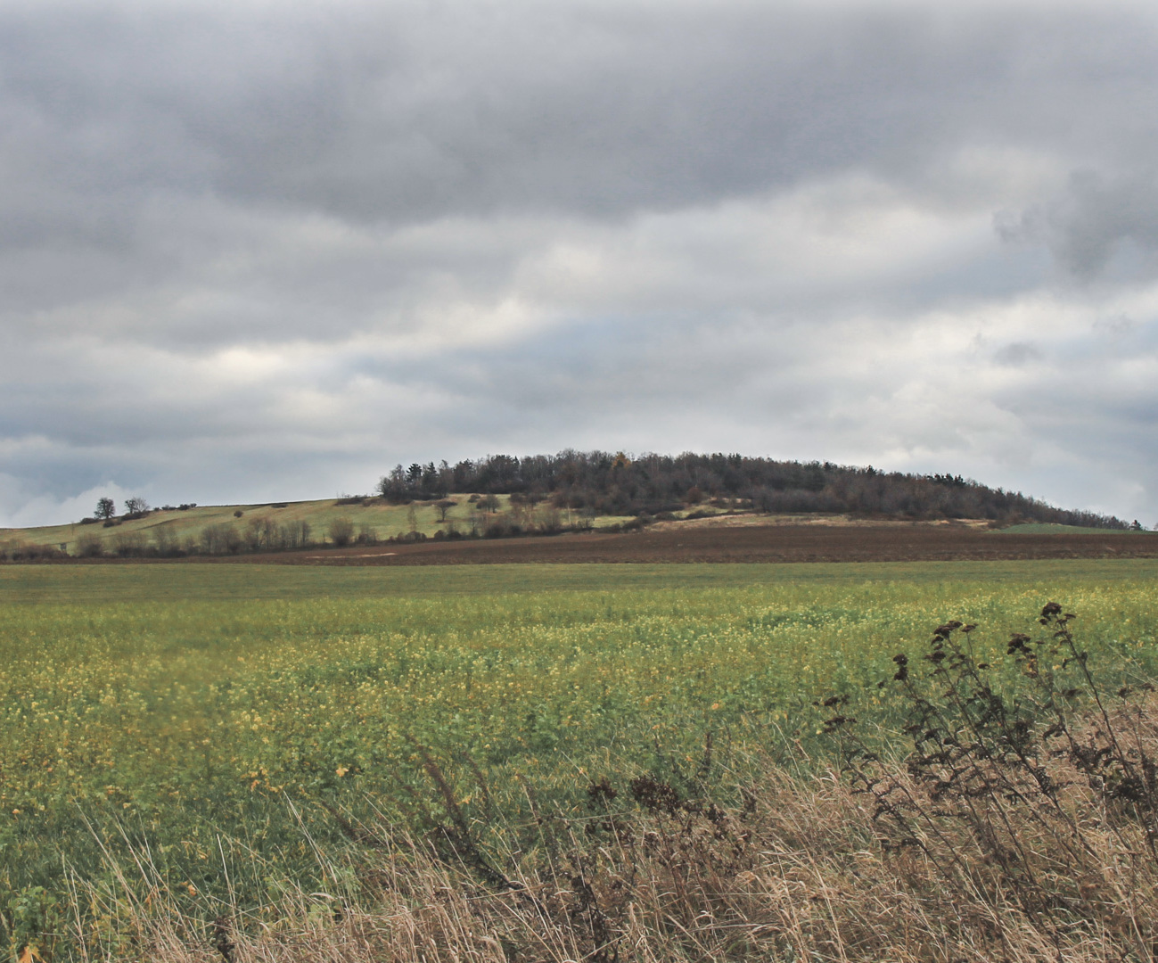 Tajemnicza wieża
na Jańskiej Górze
