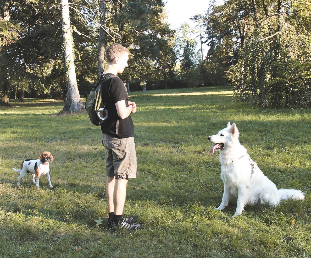 Park Skowroni
i trzy zabawy z psem
