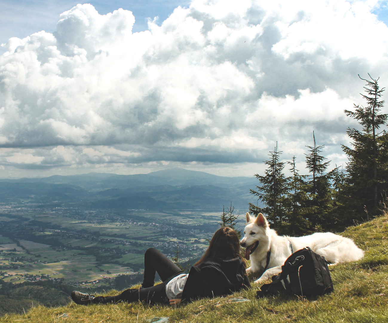 Jak pies Heban wszedł
na Skrzyczne
