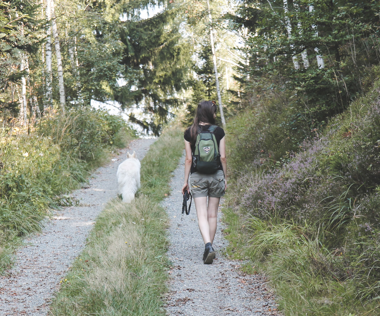 Wielka Kopa
- przyjemny spacer po górach
