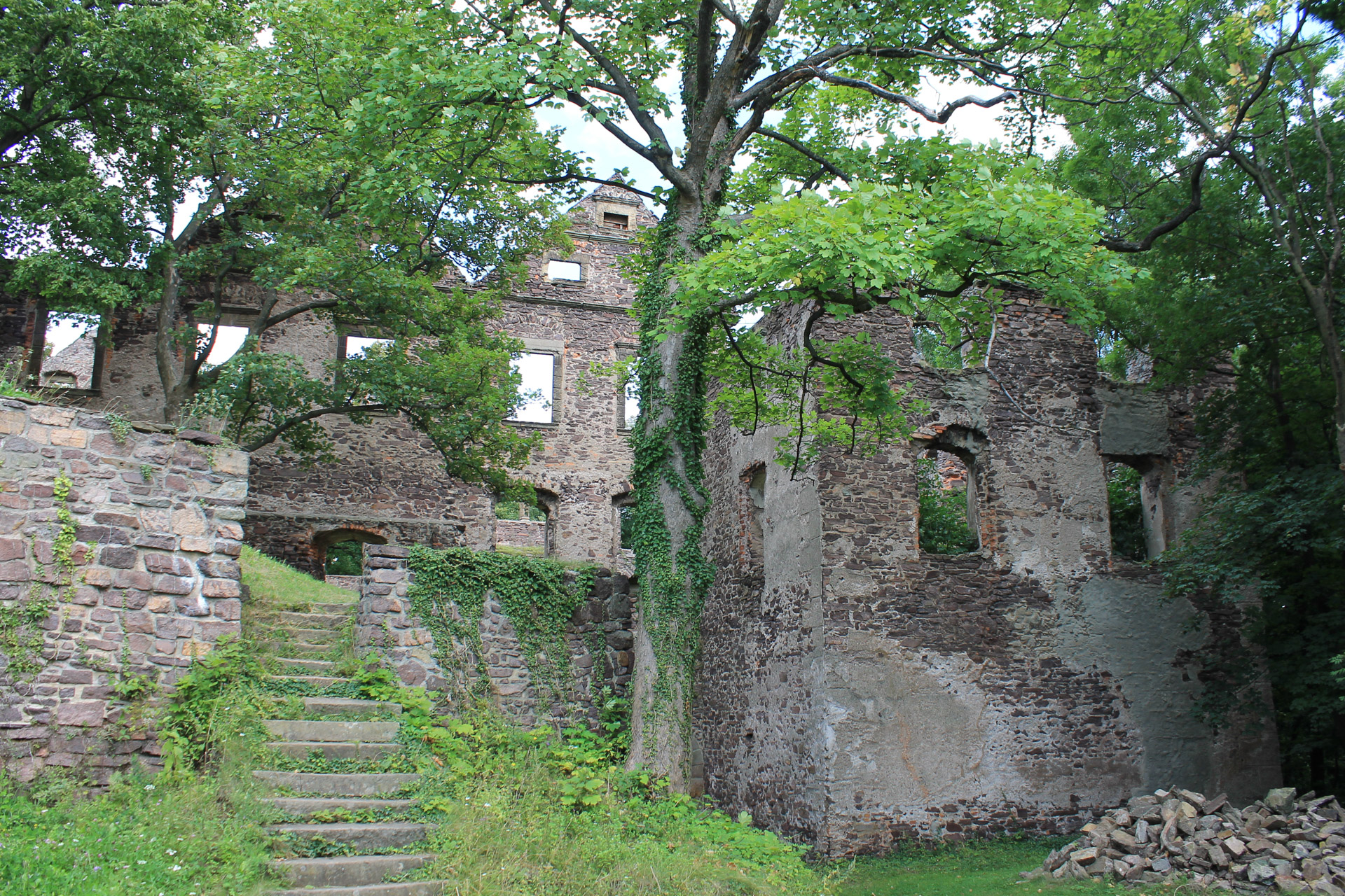 zieleń oplata mury zamku w Świnach