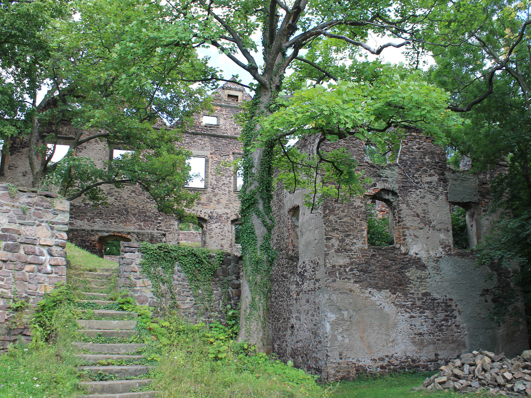 Zamek w Świnach, czyli pies w donżonie