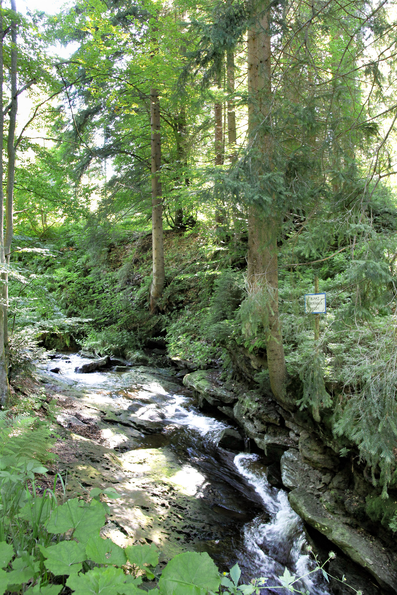 Czarna Wisełka punkt czerpania wody