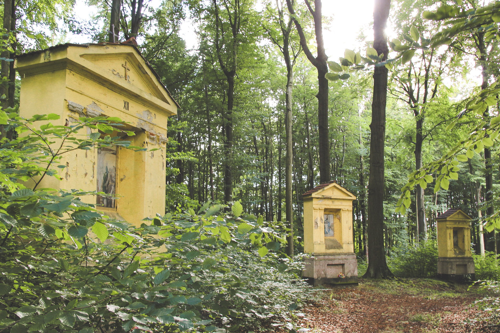 stacje drogi krzyżowej w Trzebnicy w Bukowym Lesie
