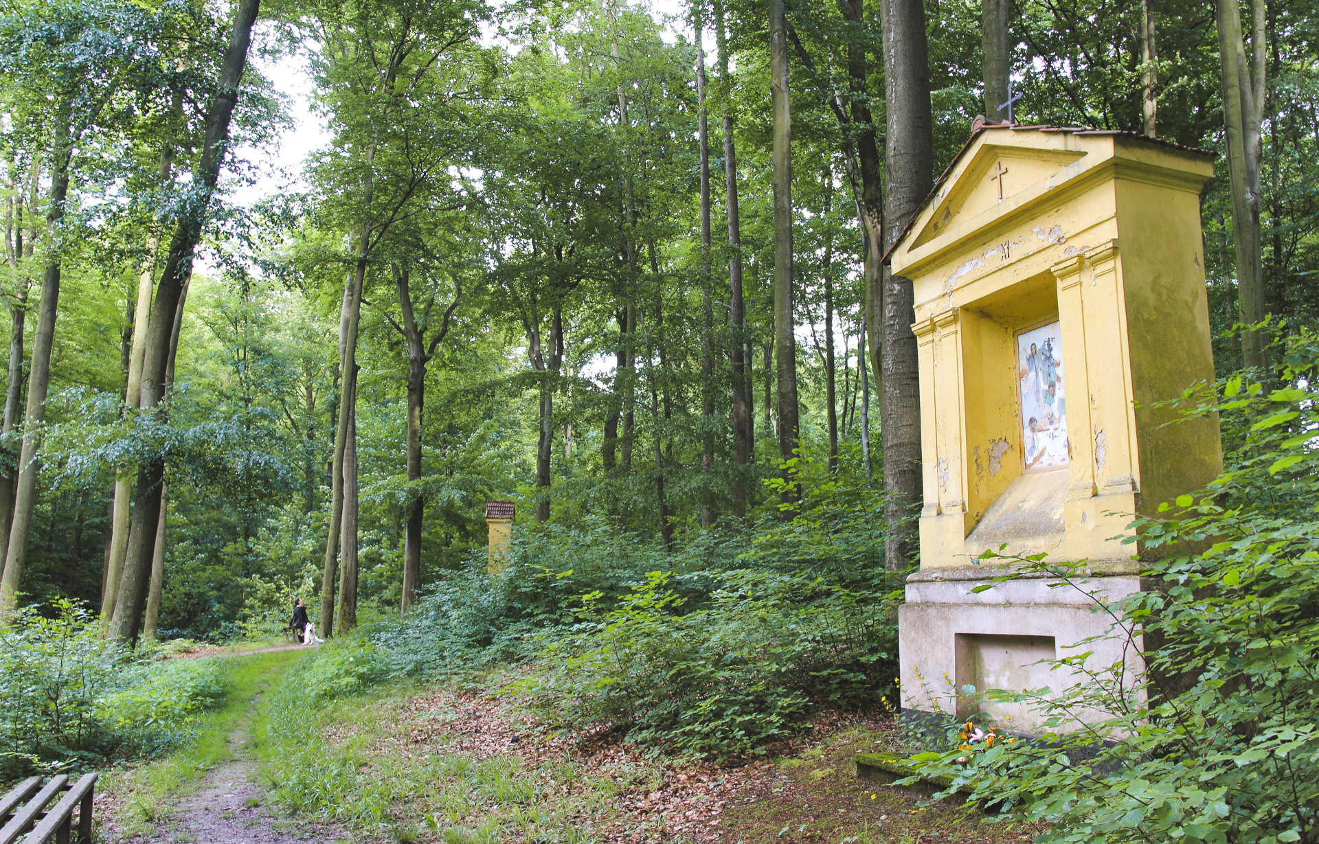 stacje drogi krzyżowej w Bukowym Lesie w Trzebnicy