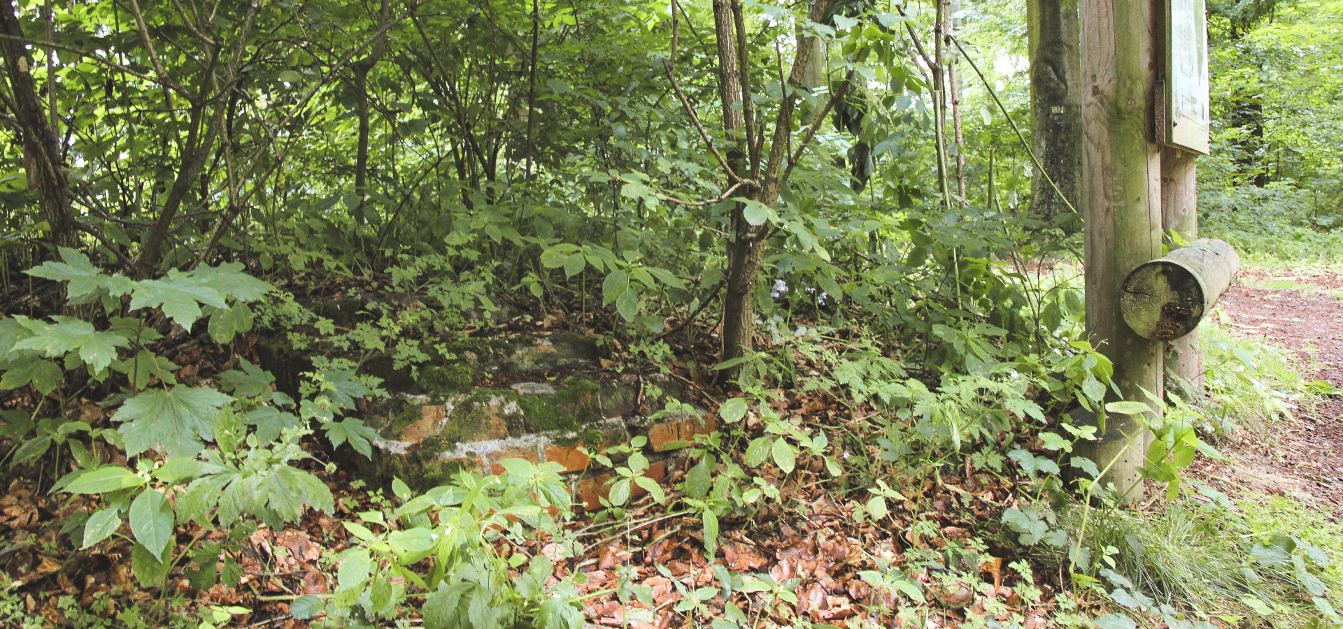 pozostałości po fundamentach dawnej wieży w Bukowym Lesie