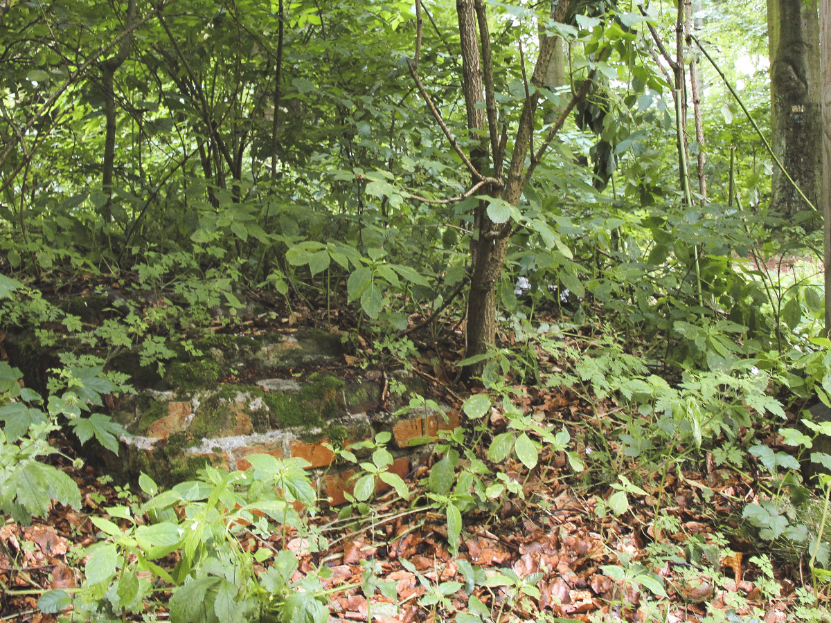 pozostałości po fundamentach dawnej wieży w Bukowym Lesie