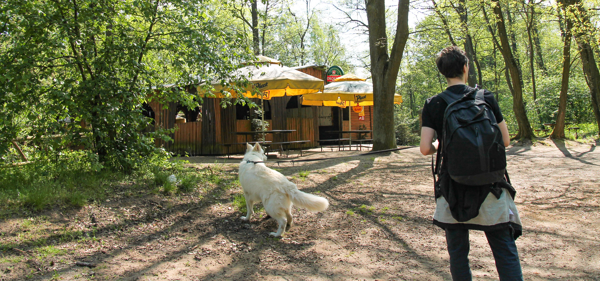 pies Heban przy barze Kacper w Sułowie