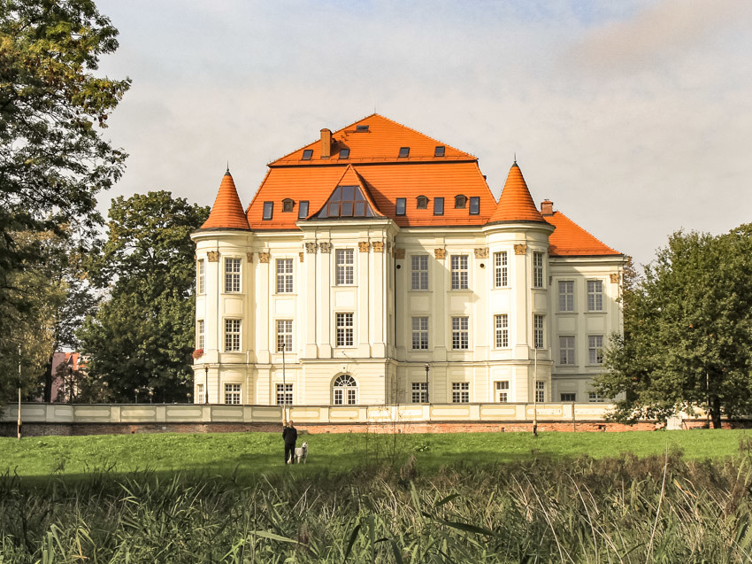 Park Leśnicki -
spacer od pałacu do starego dębu
