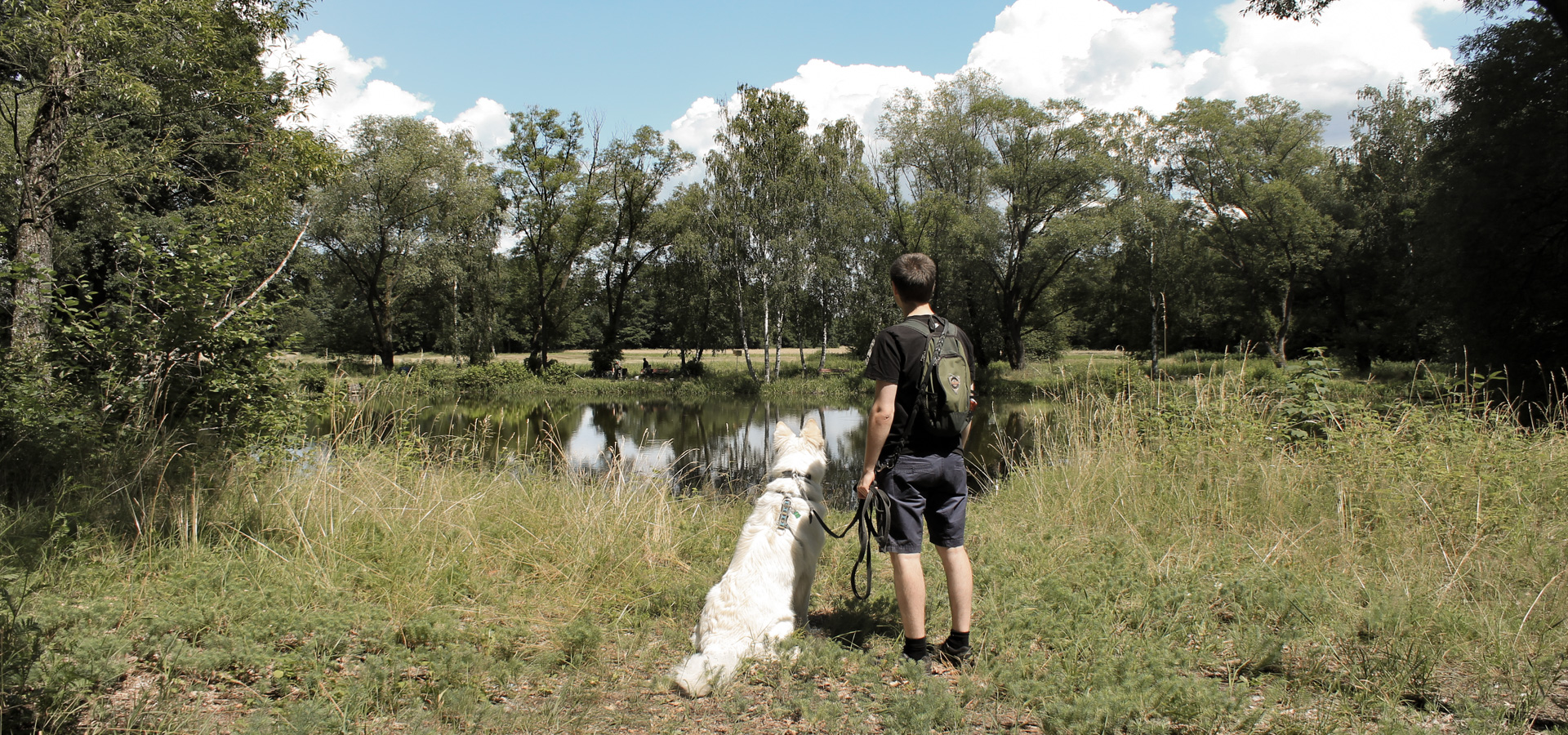 pies Heban nad stawem