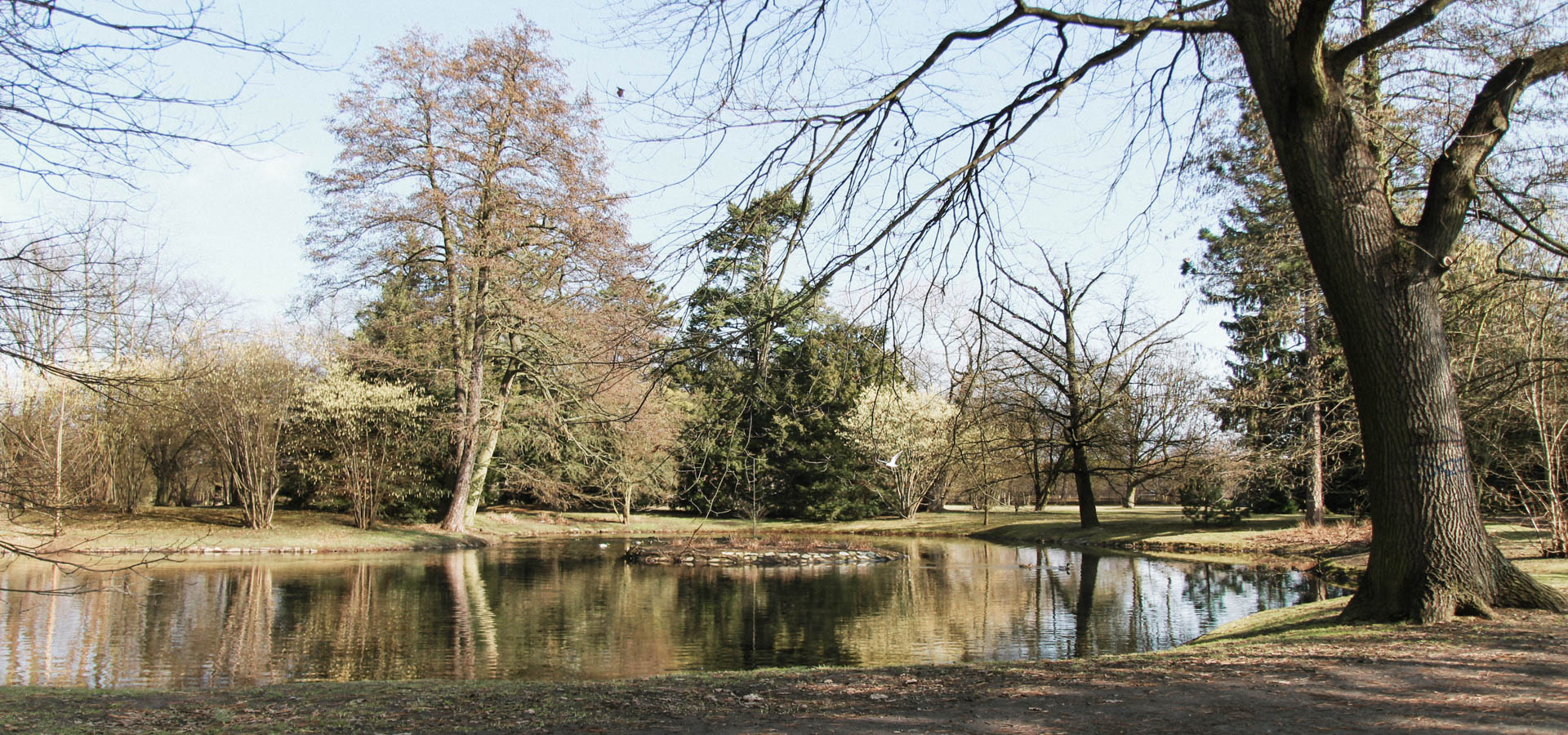 oczko wodne w parku szczytnickim
