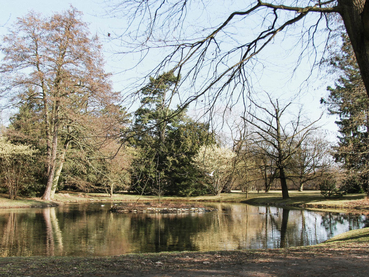 oczko wodne w parku szczytnickim