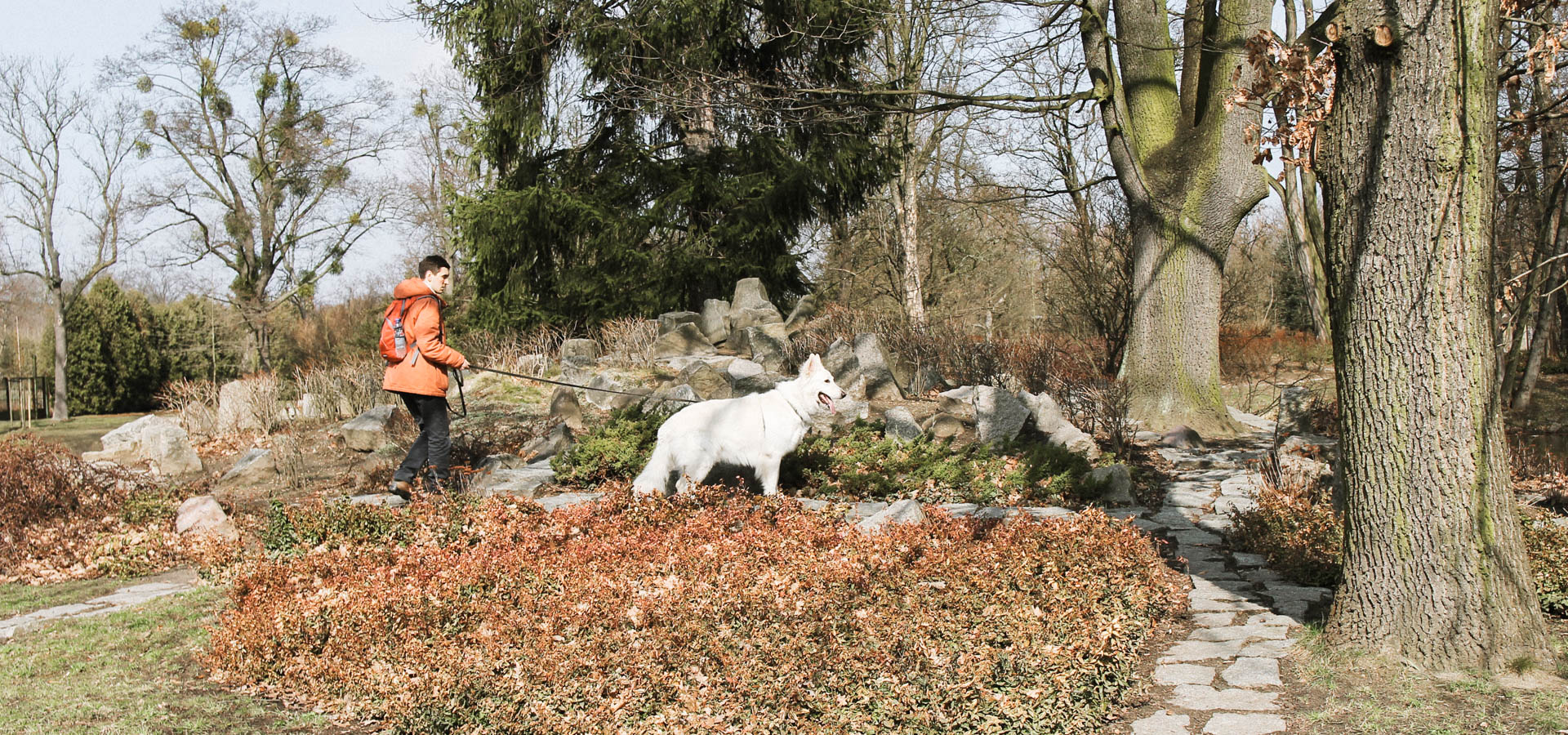 pies Heban w alpinarium w Parku Szczytnickim we Wrocławiu