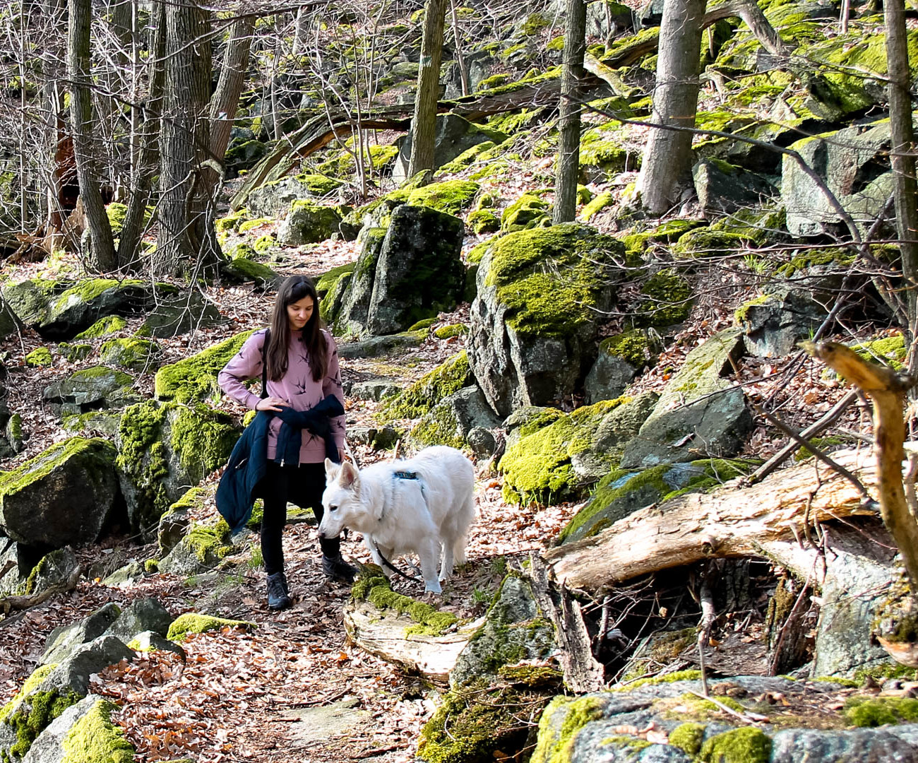 Kraina zielonych kamieni, czyli skałki na zboczu Ślęży
