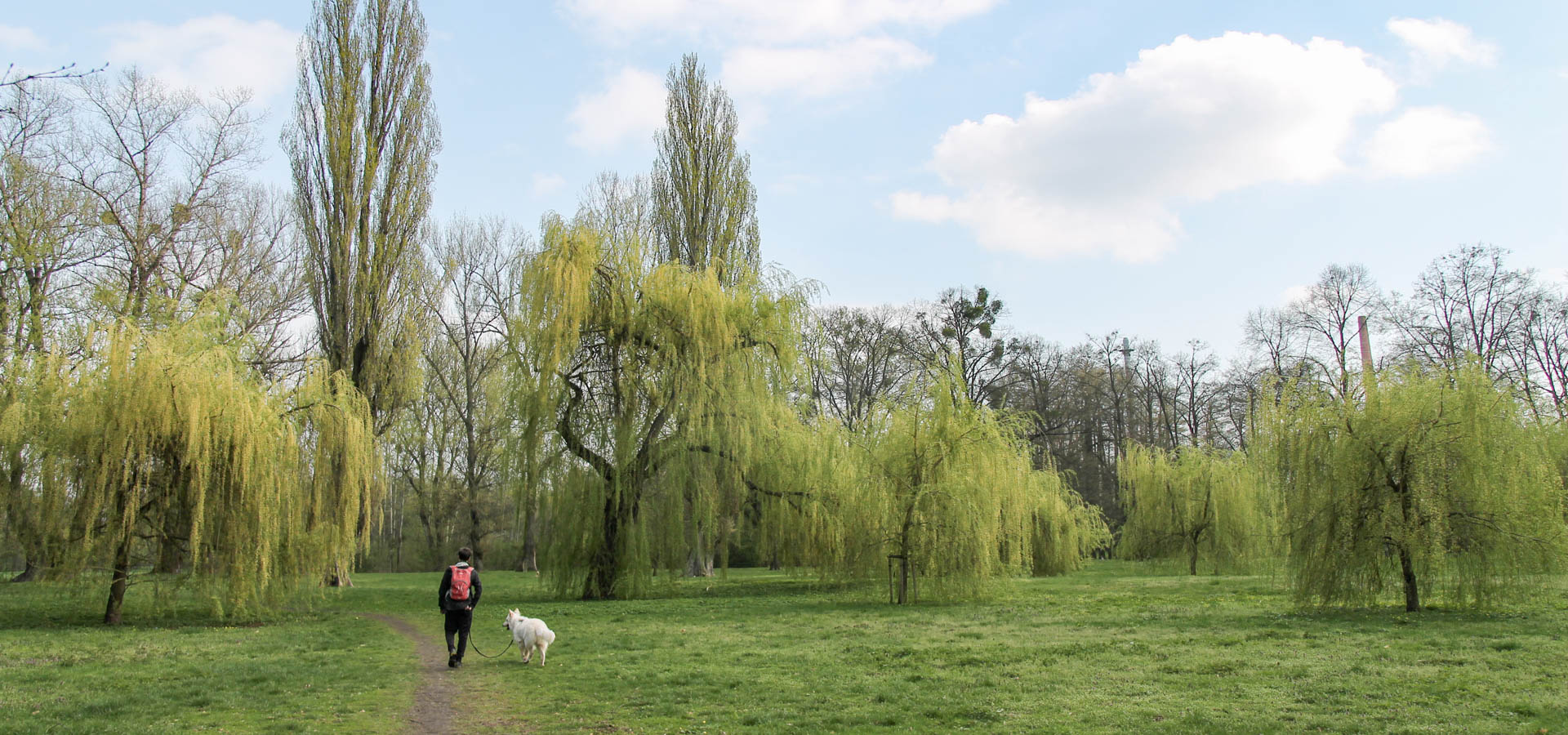 spacer łąką w Parku Wschodnim z psem