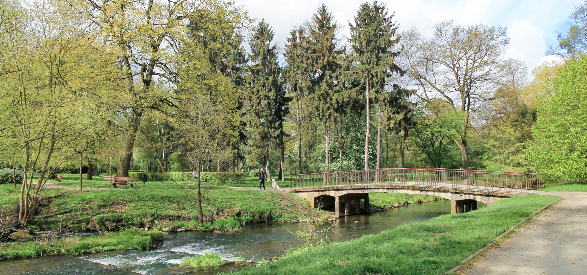 pies Heban przy mostku pomiędzy wyspami Parku Wschodniego