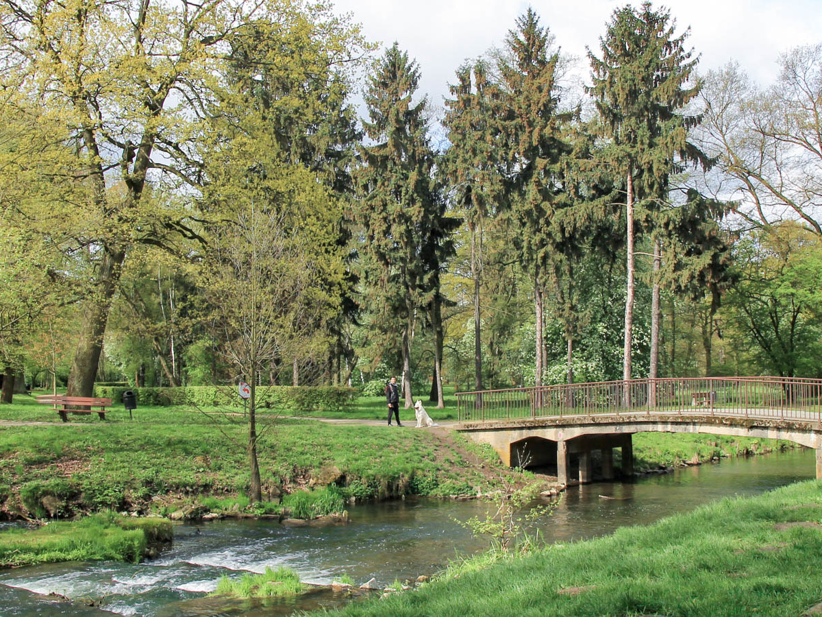 pies Heban przy mostku pomiędzy wyspami Parku Wschodniego