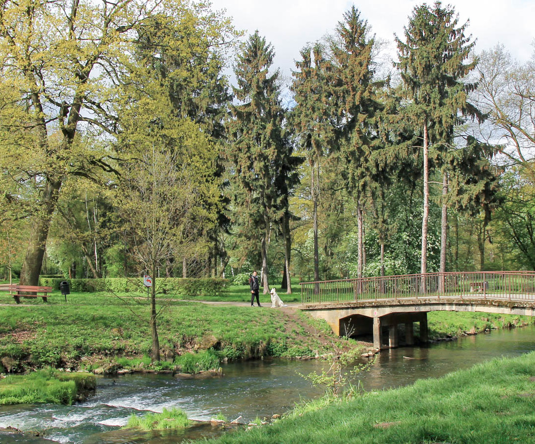 Park Wschodni - wiosenny park na wyspach