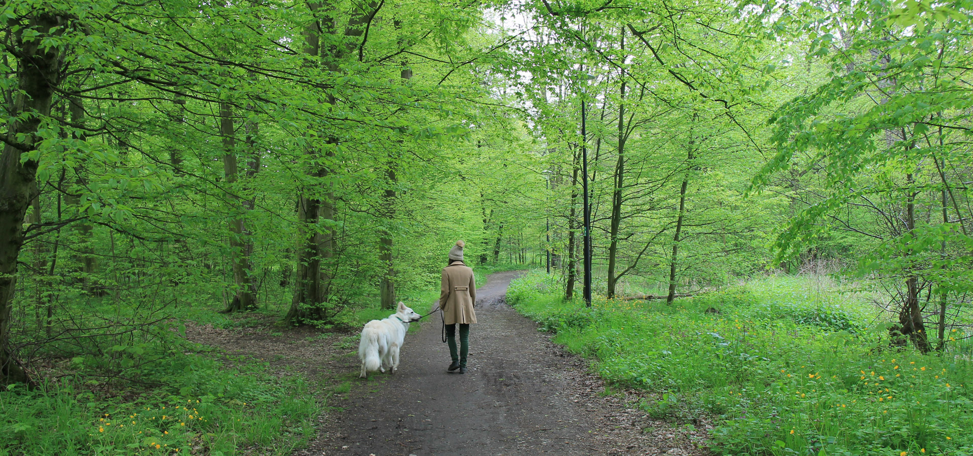 główna ścieżka parku miejskiego w Kątach Wrocławskich