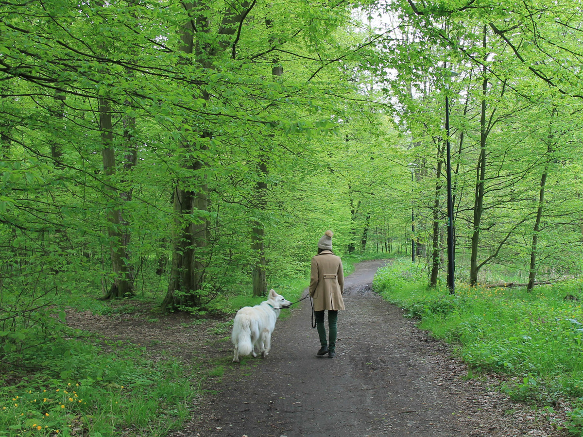 główna ścieżka parku miejskiego w Kątach Wrocławskich