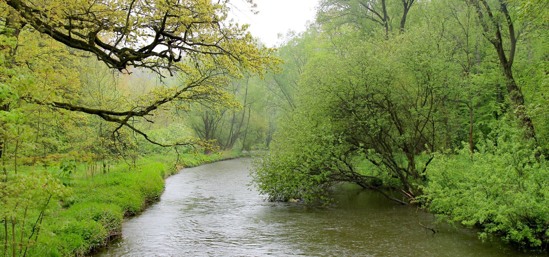 Rzeka w parku miejskim w Kątach Wrocławskich