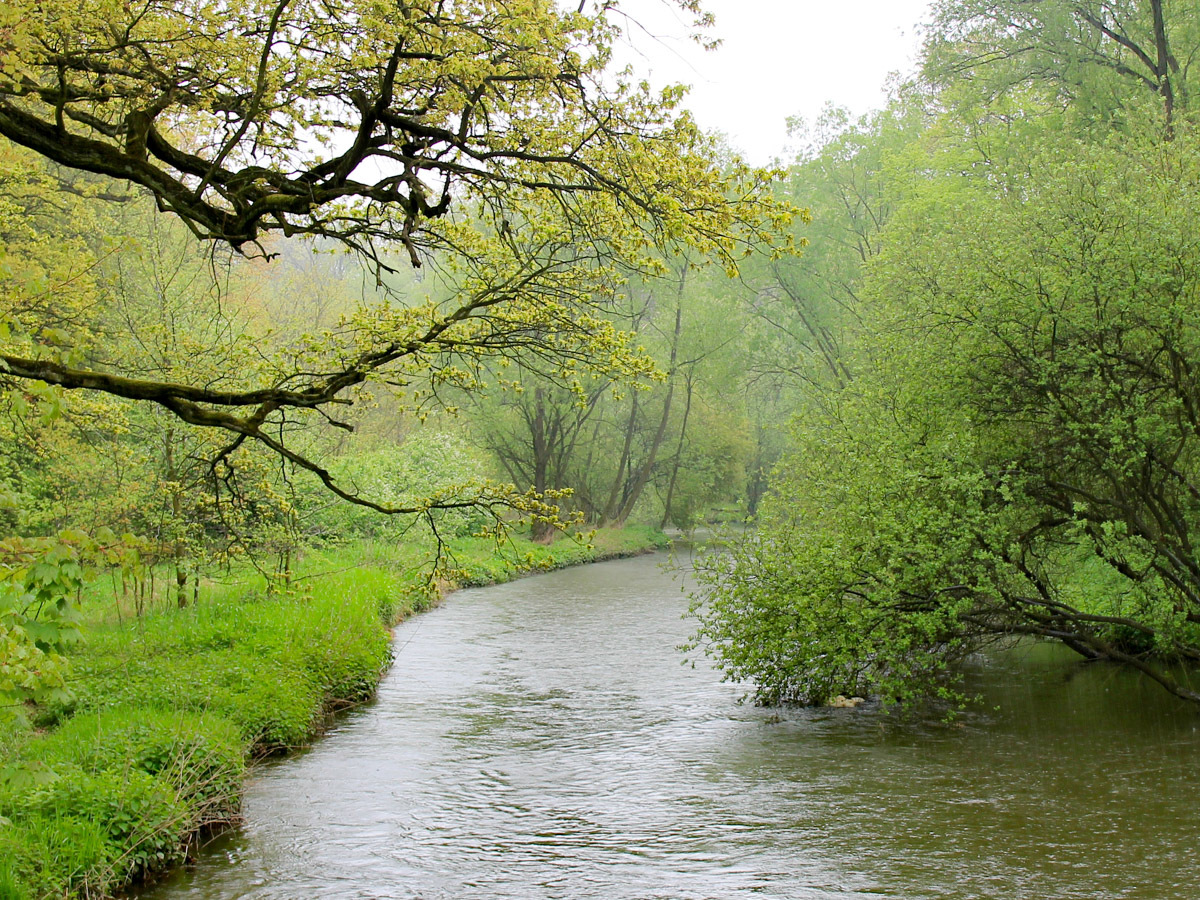 Rzeka w parku miejskim w Kątach Wrocławskich