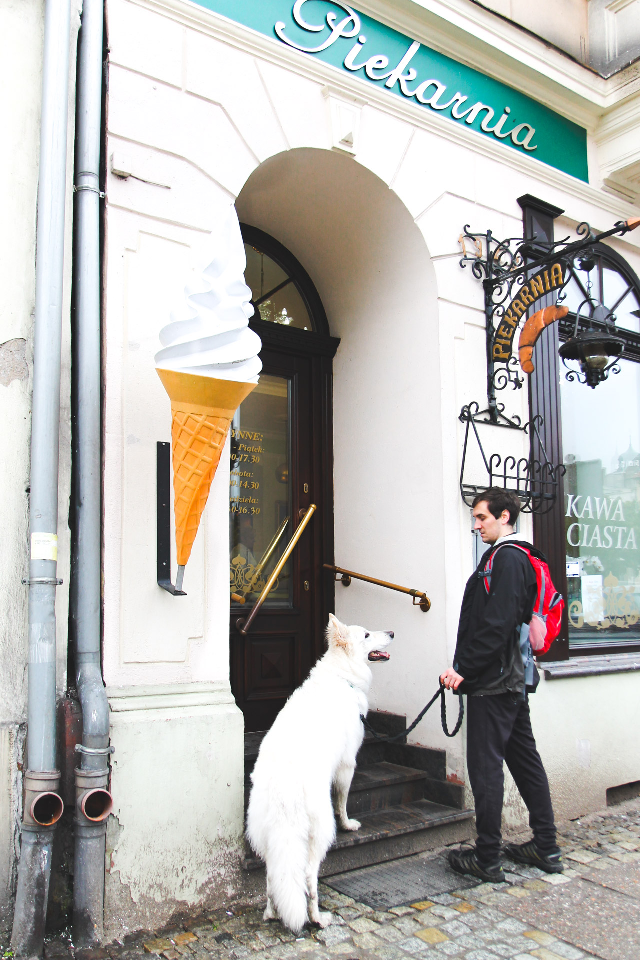 Pies Heban na schodach do cukierni w Kątach Wrocławskich