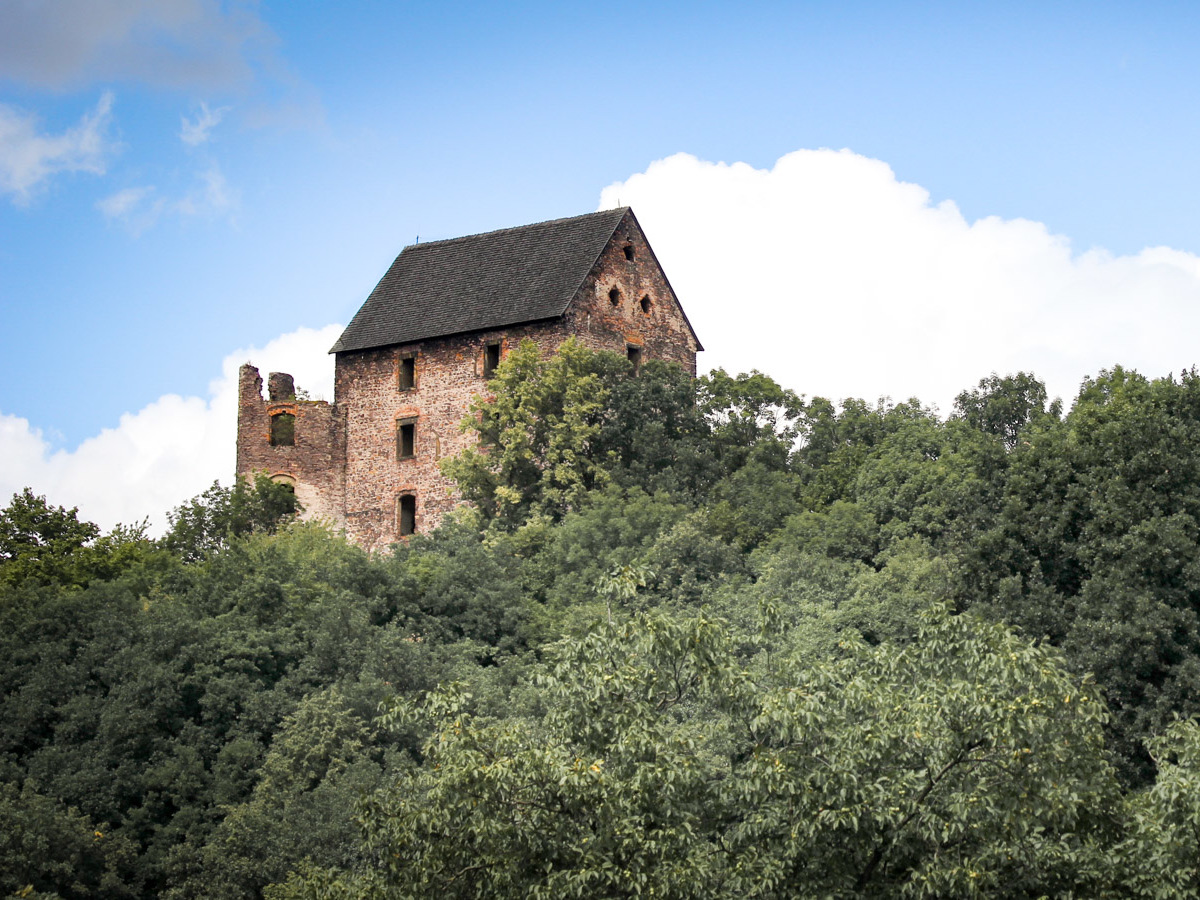 wzgórze z zamkiem świny widoczne z drogi poniżej