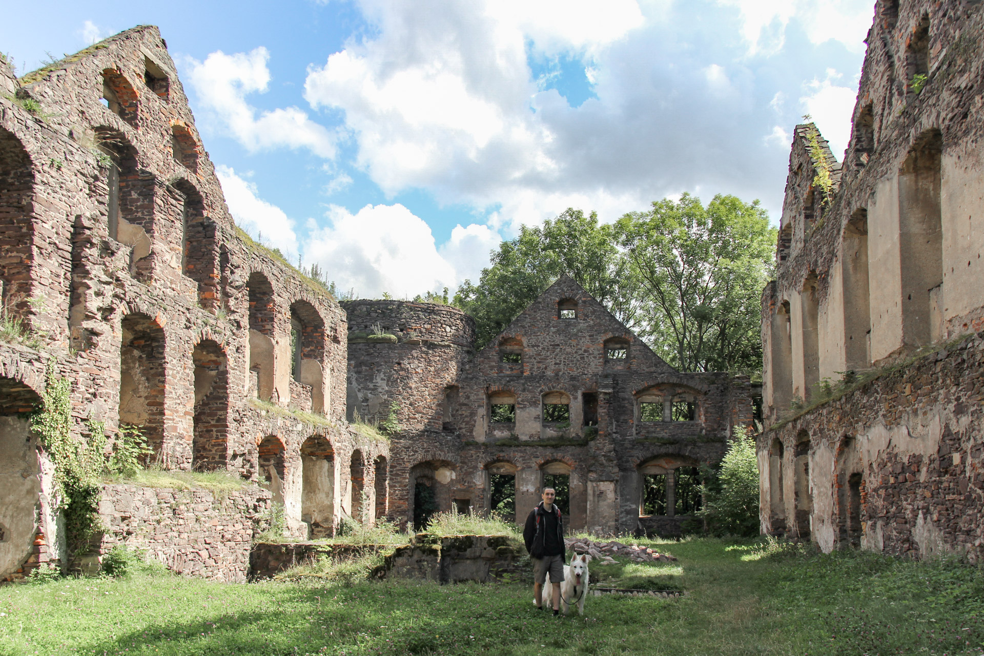 dziedziniec średniego zamku Świny