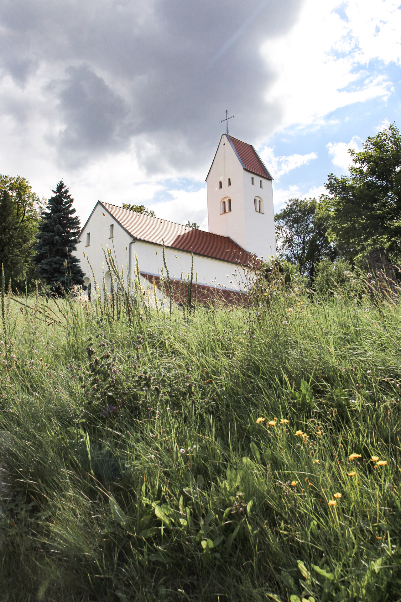 widok na kościół św. Mikołaja w Świnach