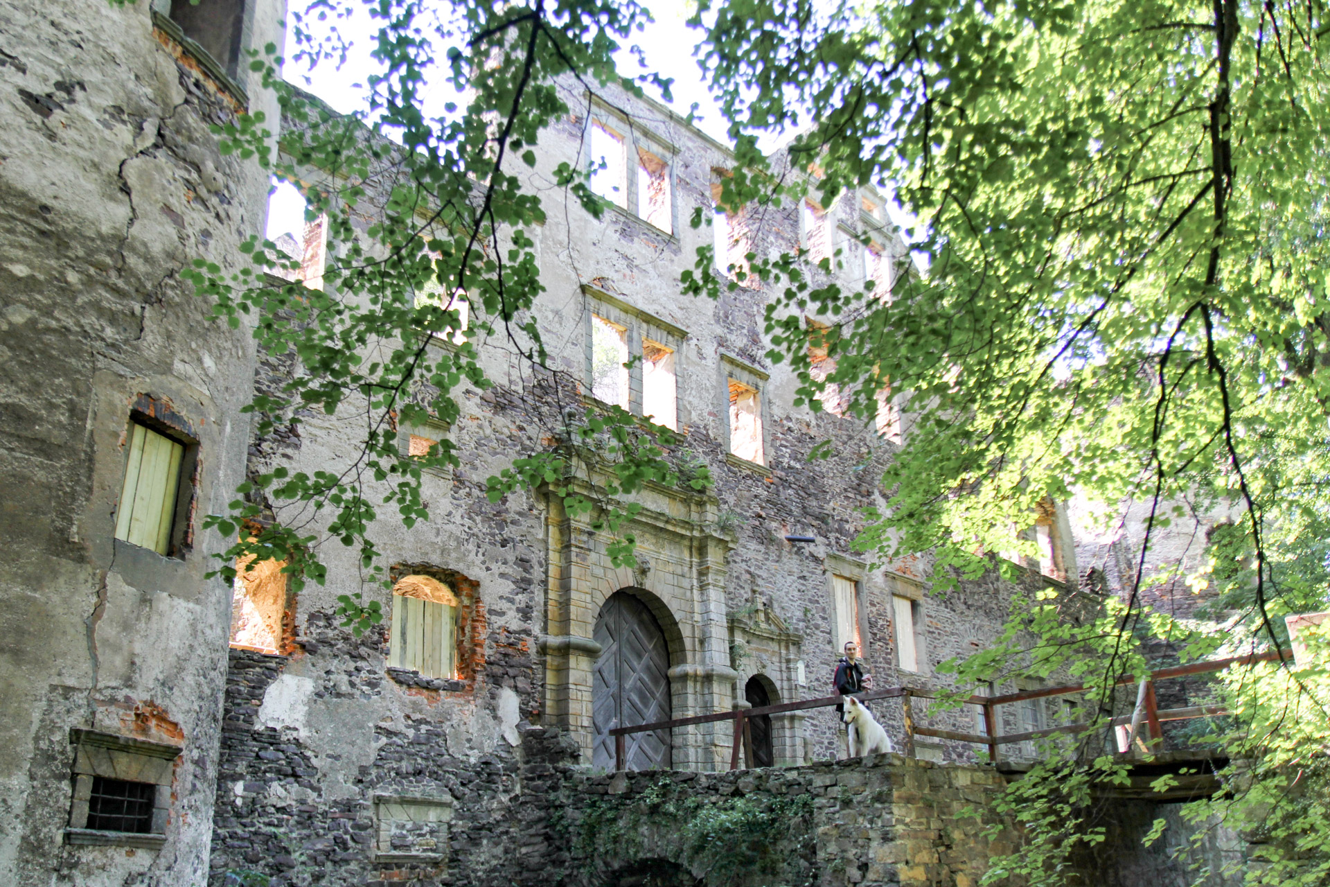 Pies Heban przed bramą zamku w Świnach