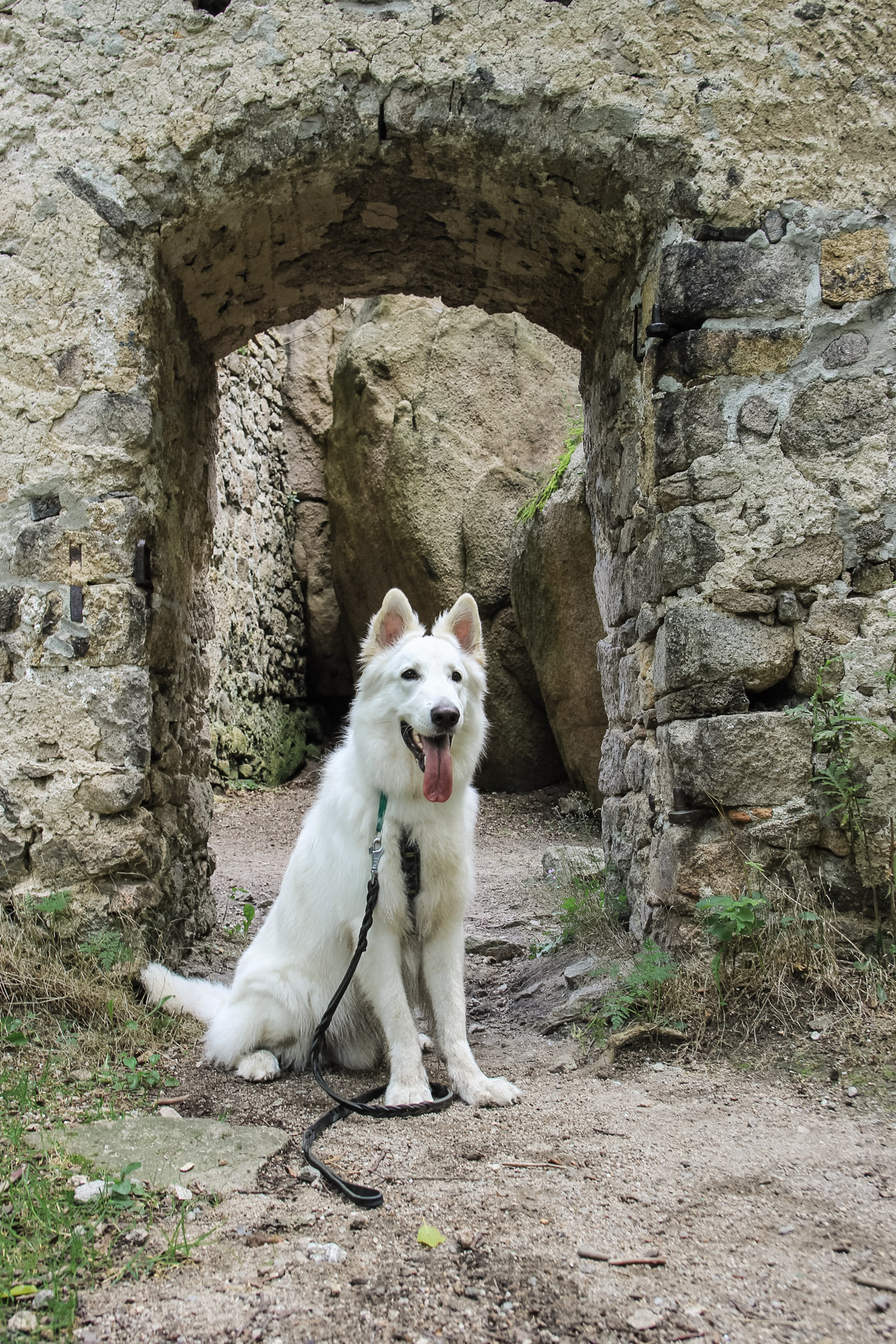 boczne wejście w murze do zamku bolczów