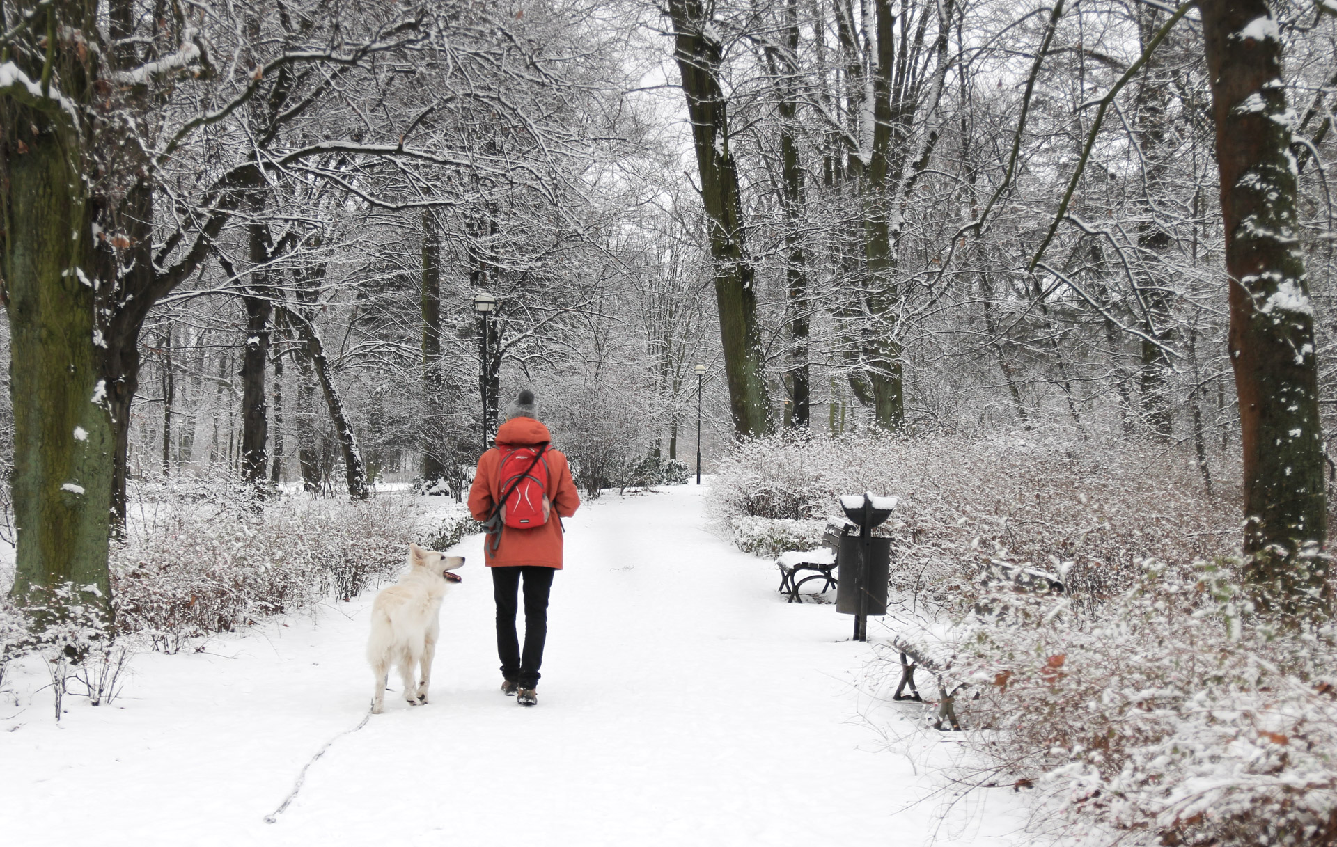 park poludniowy alejka