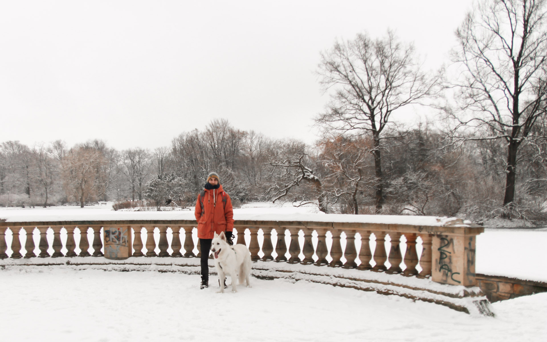 park poludniowy - taras nad stawem