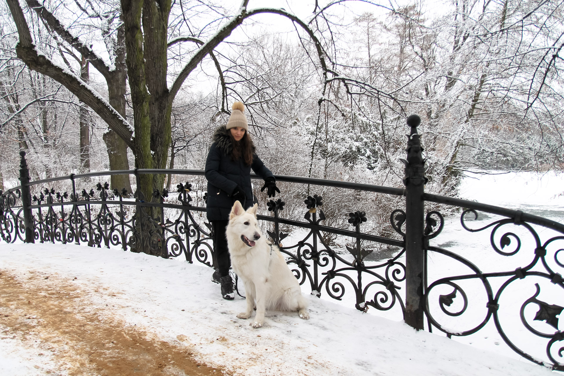 park poludniowy - romantyczny mostek