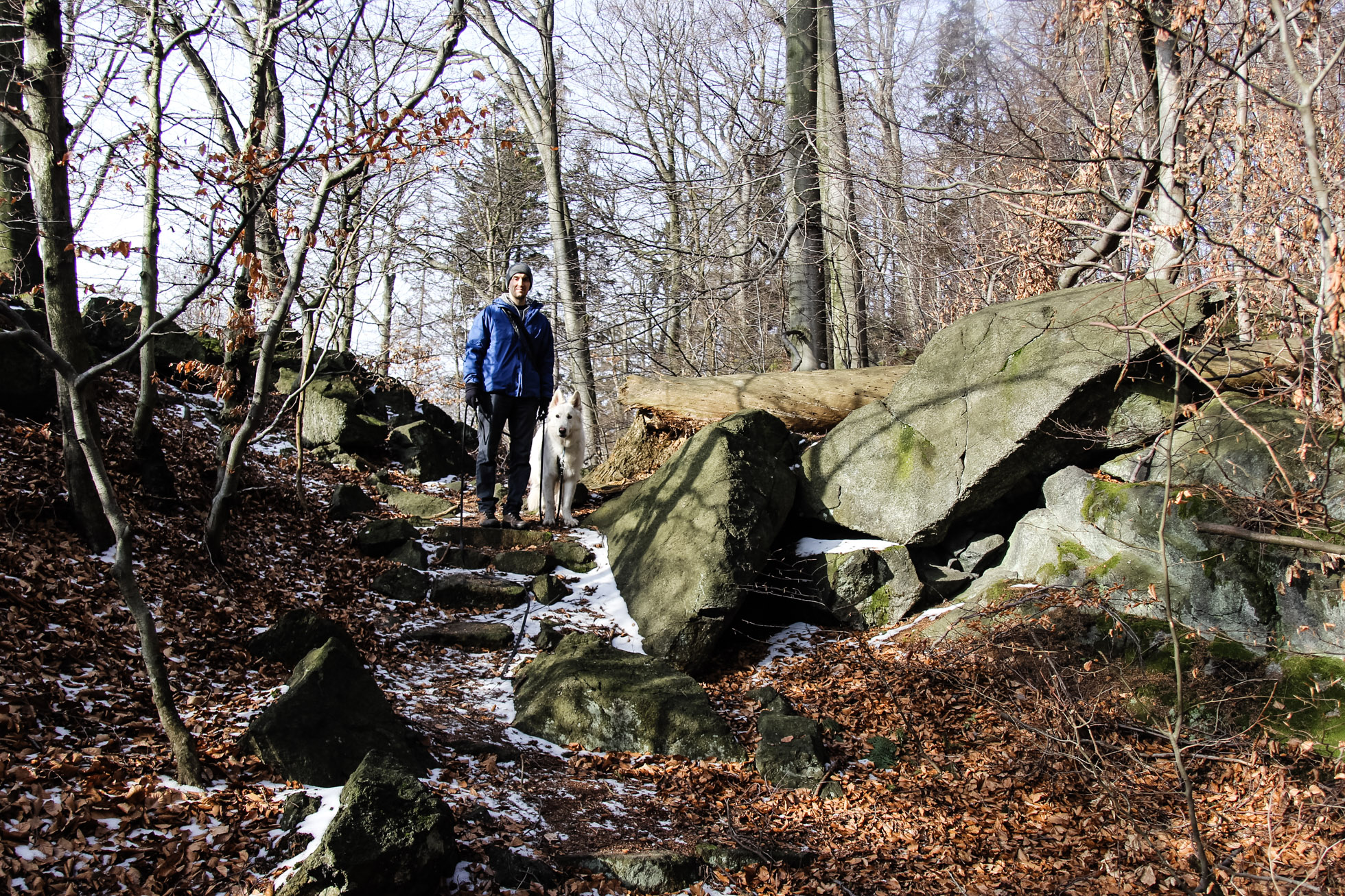 ścieżka pod skałami - pies Heban stoi na kamiennych schodach